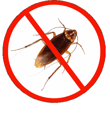 Bestview Fumigation and Cleaning Services